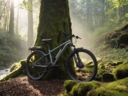 Czy rowerem miejskim można jeździć po lesie
