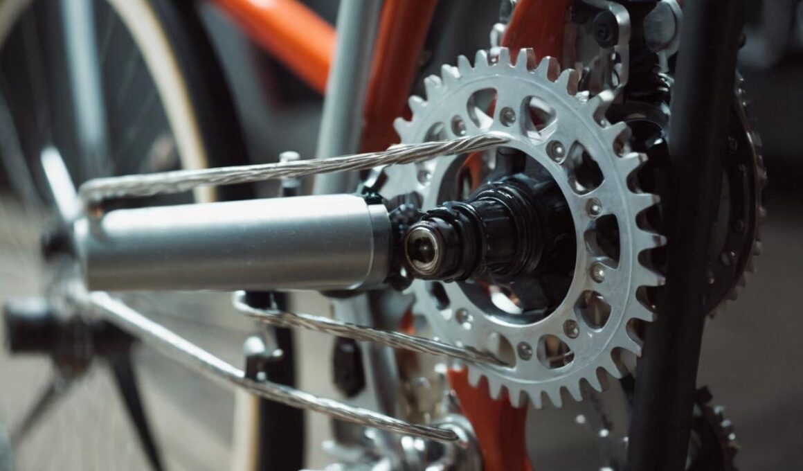 Czym się różni rower mechaniczny od magnetycznego